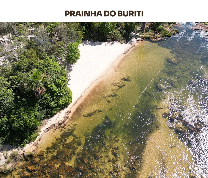 PRAINHA DO BURITI